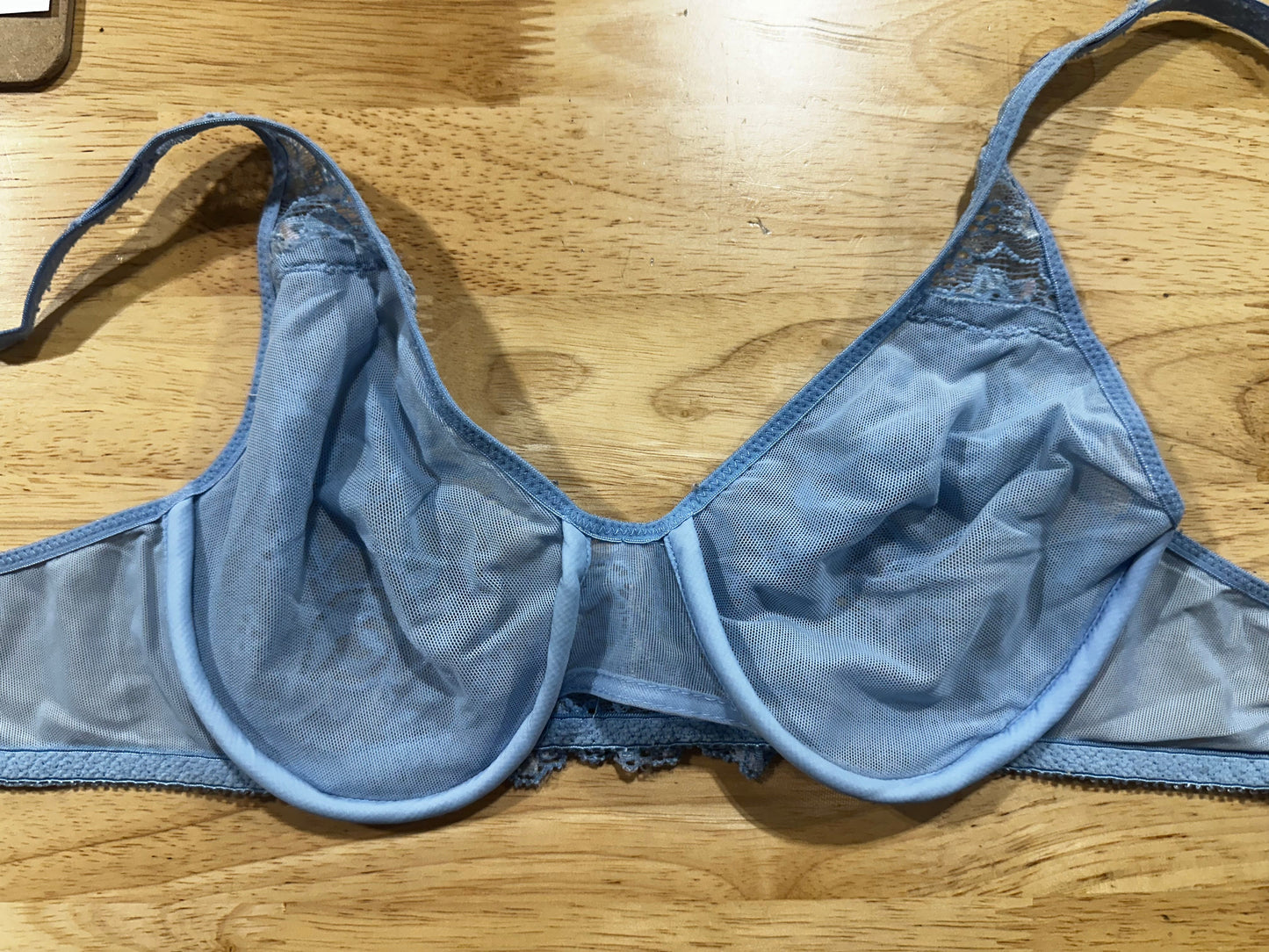 Vintage Olga Bra-Blue
